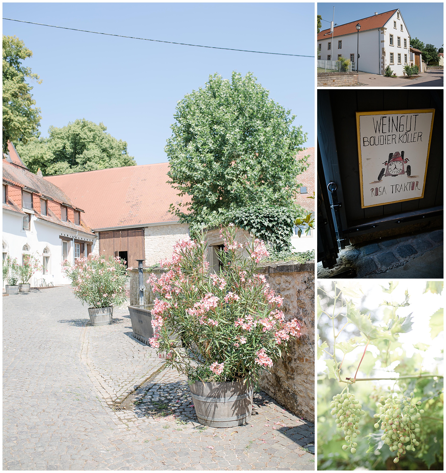 Pfalz weingut hochzeit location Hochzeitslocation Weingut